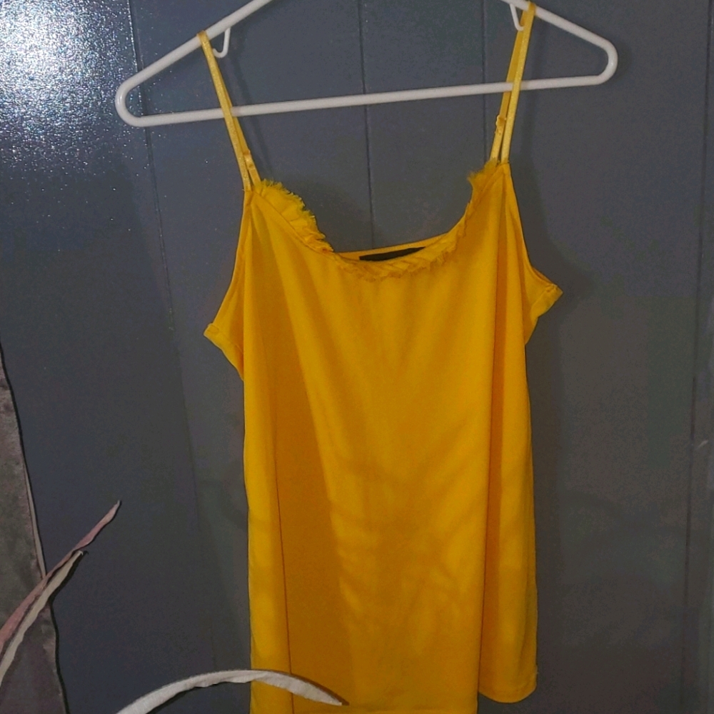 🔳🟢The Limited silk cami